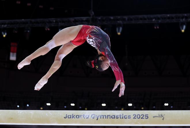 中国体操的“成绩单”与“任务单”(图2)